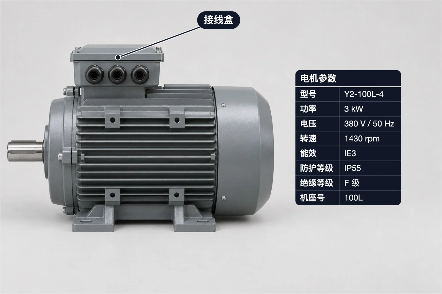 工业电机标注示例,包含规格表和特征标签;型号 Y2-100L-4、功率 3 kW、电压 380 V / 50 Hz、转速 1430 rpm
