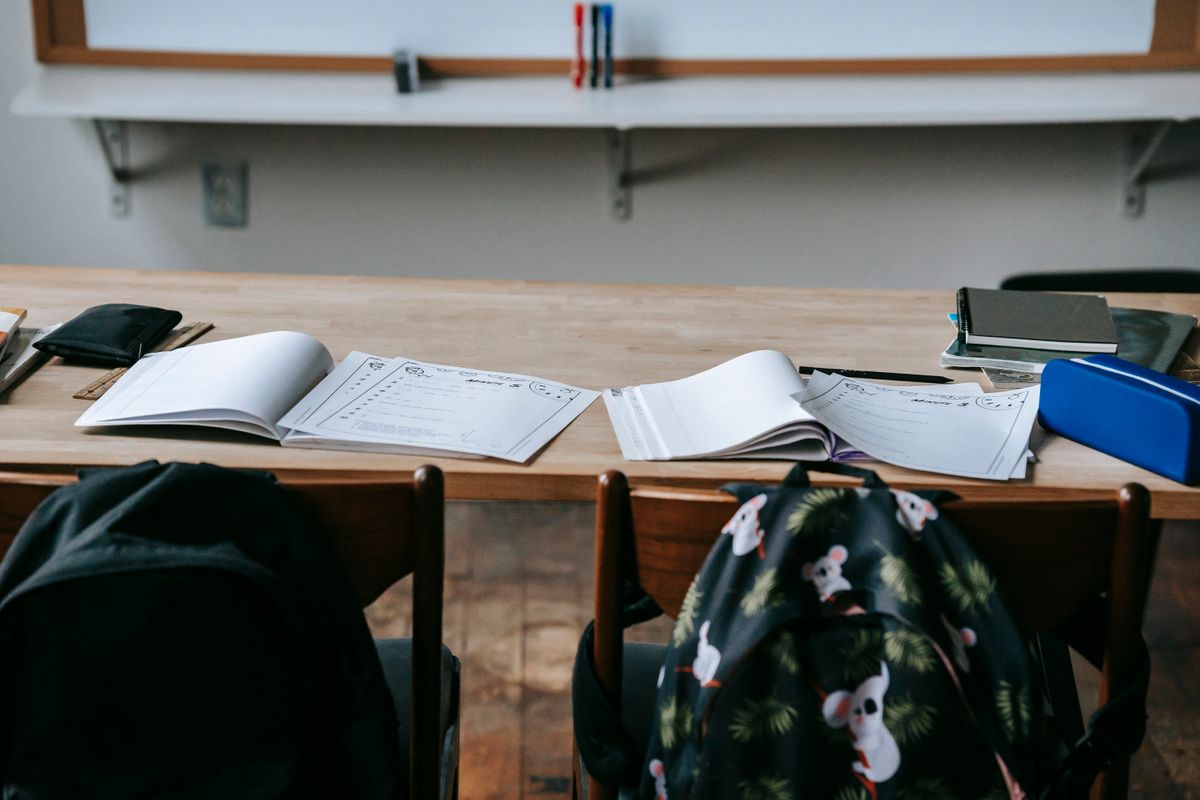小升初暑假怎么衔接?别急着报班超前学,先补基础、搭框架、养习惯
