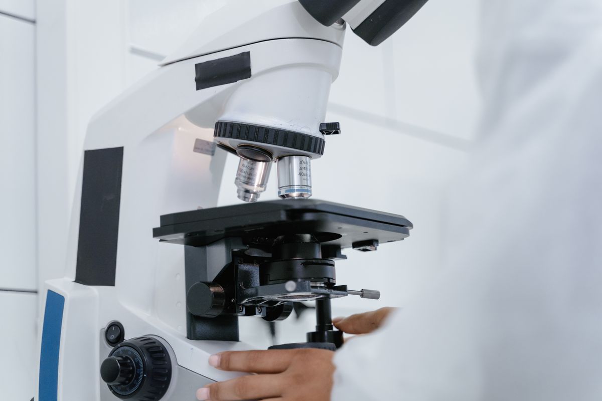 生物错题怎么整理？按概念、图表、实验、表述四类分开，比按章节抄题管用